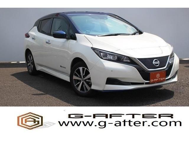 NISSAN LEAF 2019