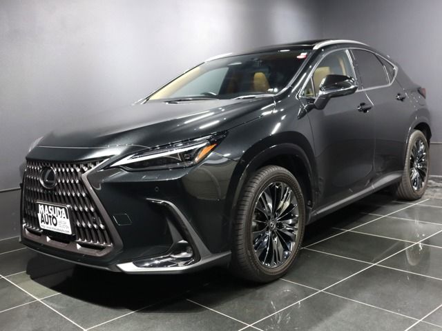 TOYOTA LEXUS NX250 2022