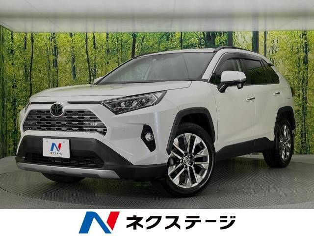 TOYOTA RAV4 4WD 2019