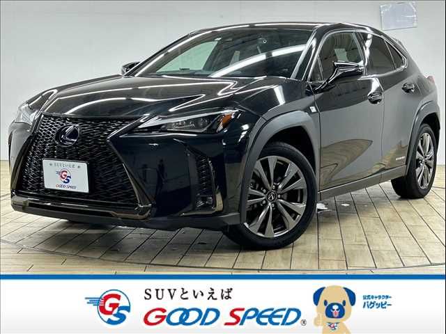 TOYOTA LEXUS UX250h 2020