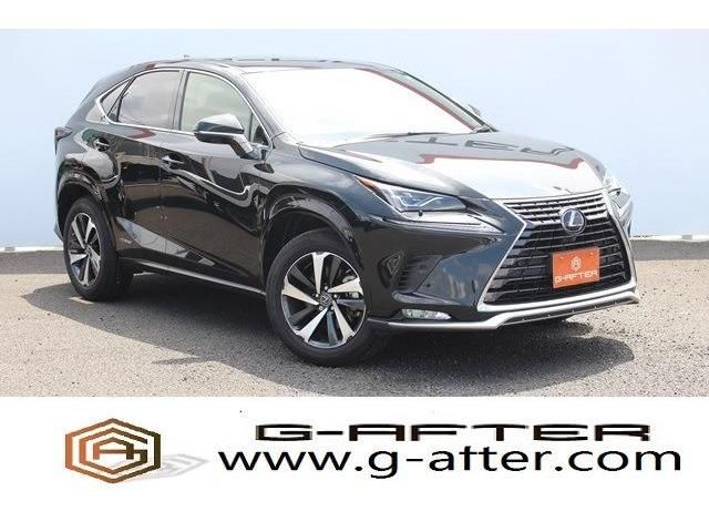 TOYOTA LEXUS NX300h 2020