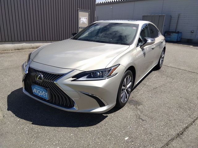 TOYOTA LEXUS ES300h 2019