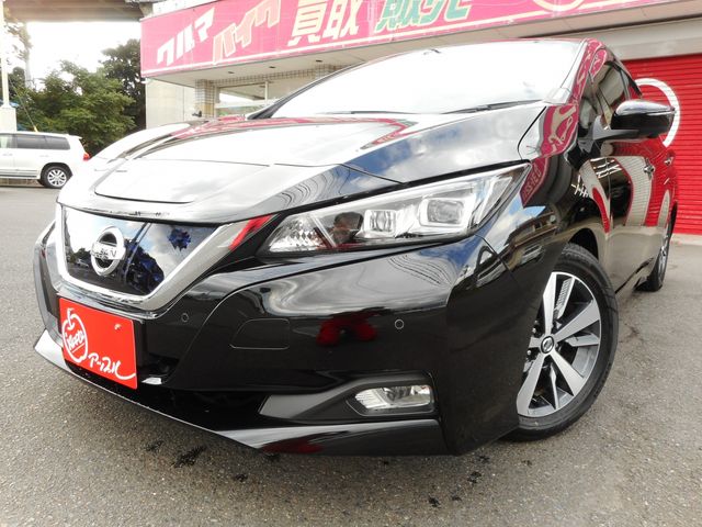 NISSAN LEAF 2019