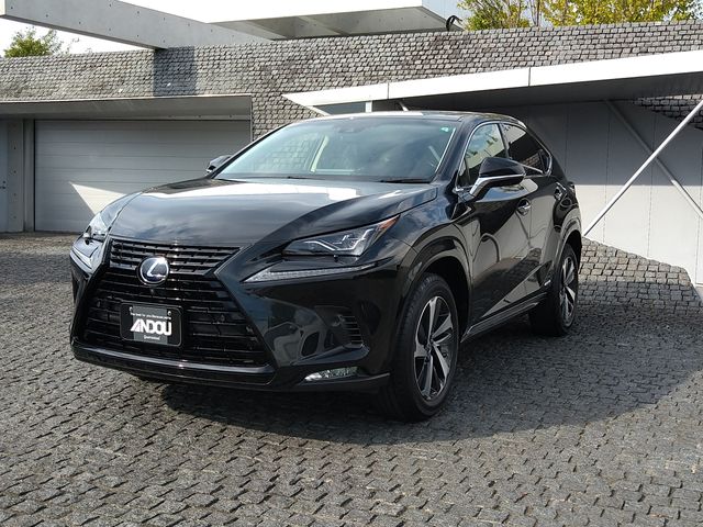 TOYOTA LEXUS NX300h AWD 2019