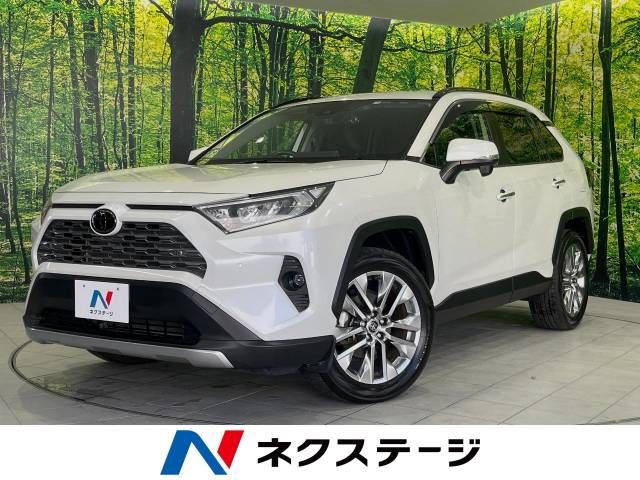 TOYOTA RAV4 4WD 2019