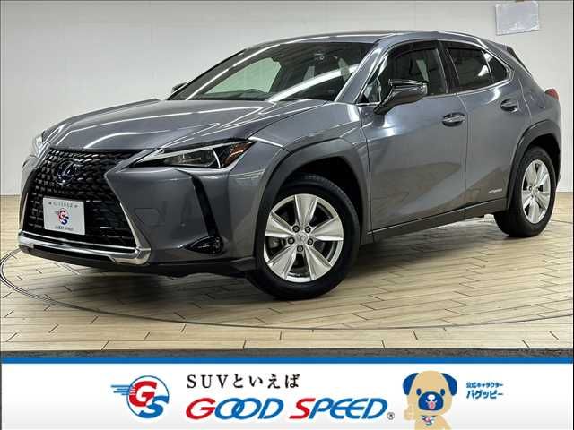 TOYOTA LEXUS UX250h 2021