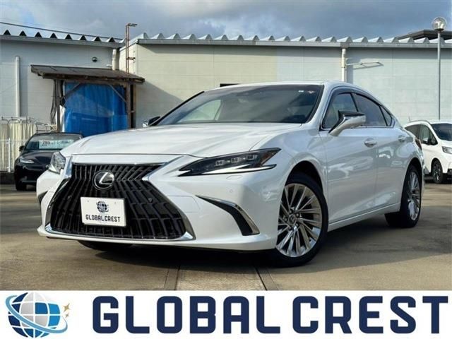 TOYOTA LEXUS ES300h 2023