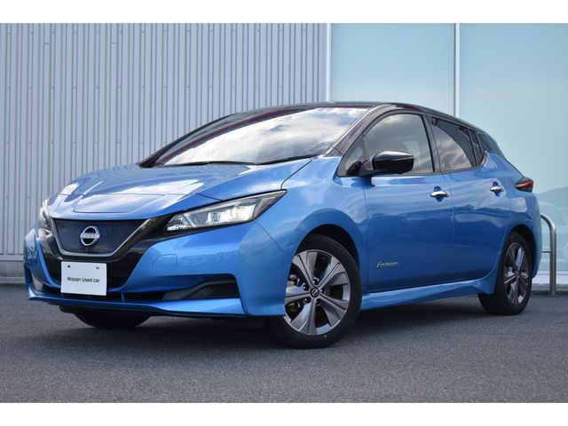 NISSAN LEAF 2021