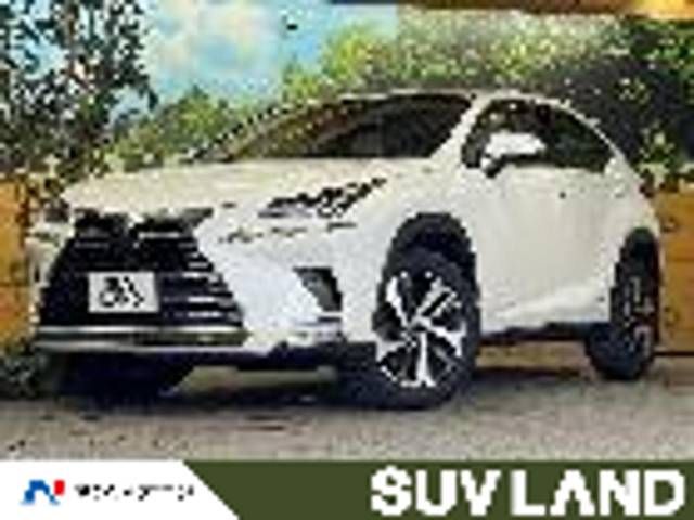 TOYOTA LEXUS NX300h 2019