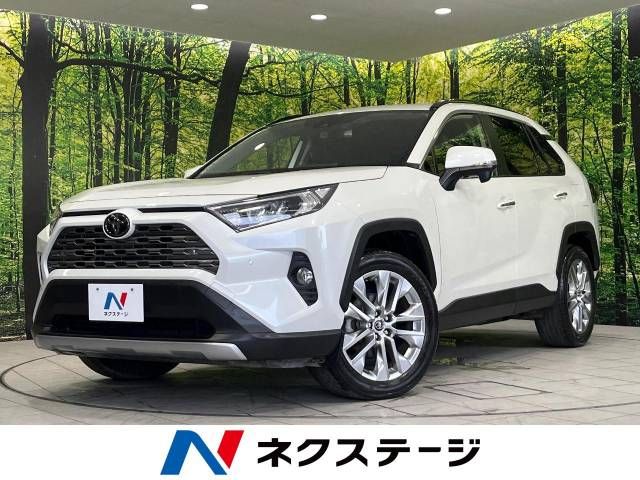 TOYOTA RAV4 4WD 2019