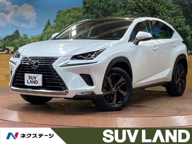 TOYOTA LEXUS NX300h 2018