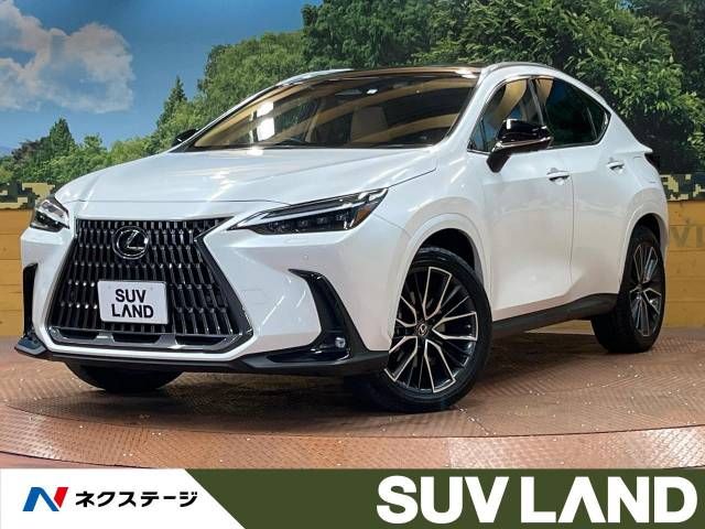 TOYOTA LEXUS NX350h 2023