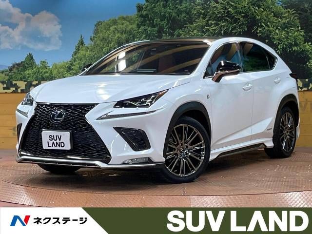 TOYOTA LEXUS NX300h 2018