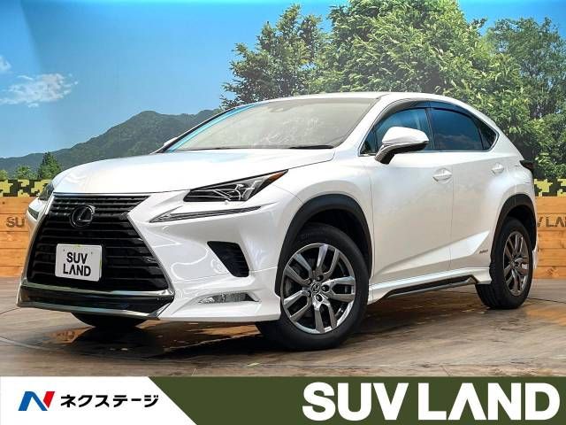 TOYOTA LEXUS NX300h 2018