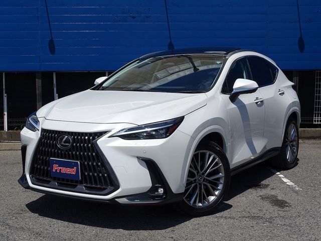 TOYOTA LEXUS NX250 2023