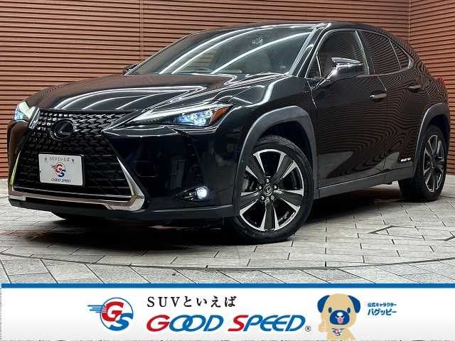 TOYOTA LEXUS UX250h 2019