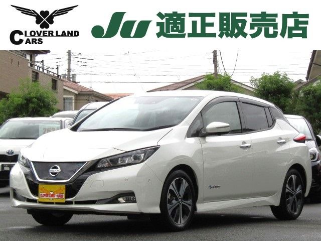 NISSAN LEAF 2019