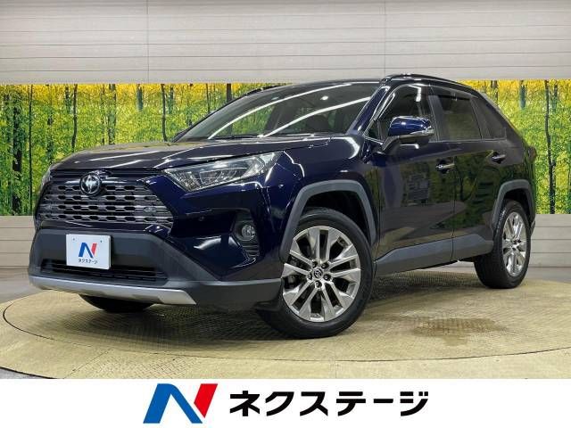 TOYOTA RAV4 4WD 2019