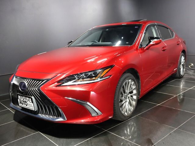 TOYOTA LEXUS ES300h 2021