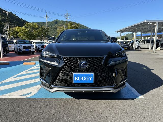 TOYOTA LEXUS NX300h 2018