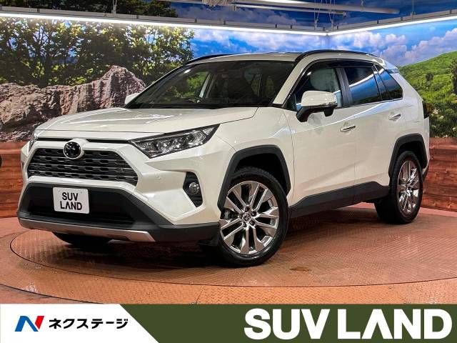 TOYOTA RAV4 4WD 2019