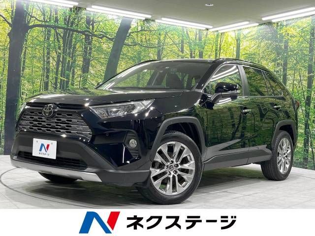 TOYOTA RAV4 4WD 2019