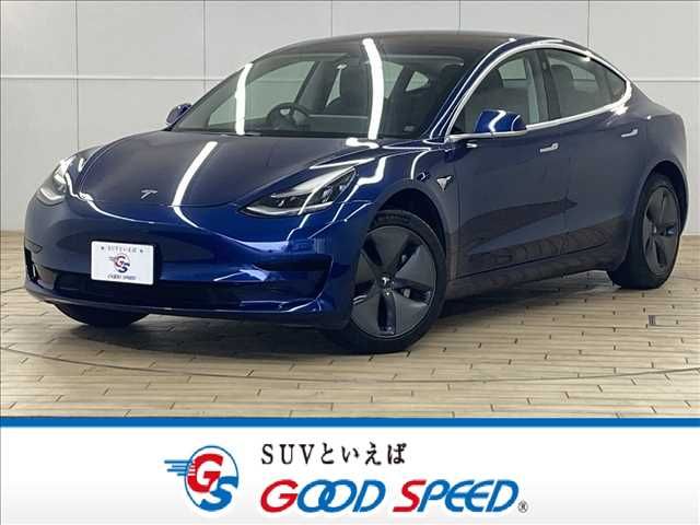 TESLA MODEL 3 2019