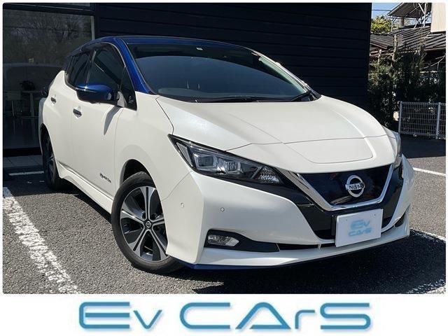 NISSAN LEAF 2019