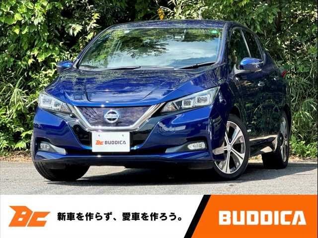 NISSAN LEAF 2017