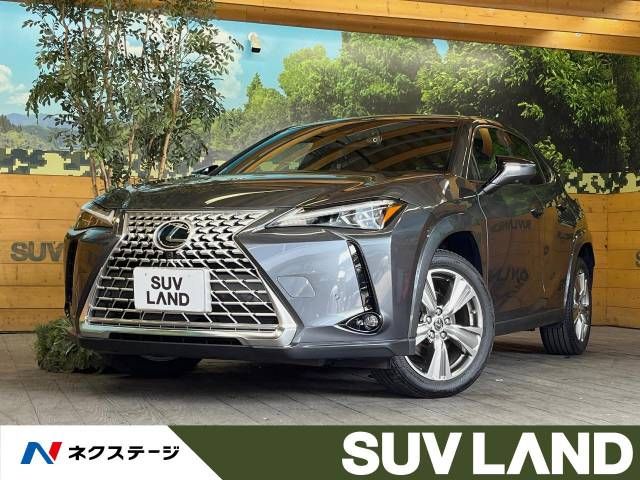 TOYOTA LEXUS UX250h 2023