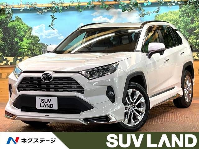 TOYOTA RAV4 4WD 2019