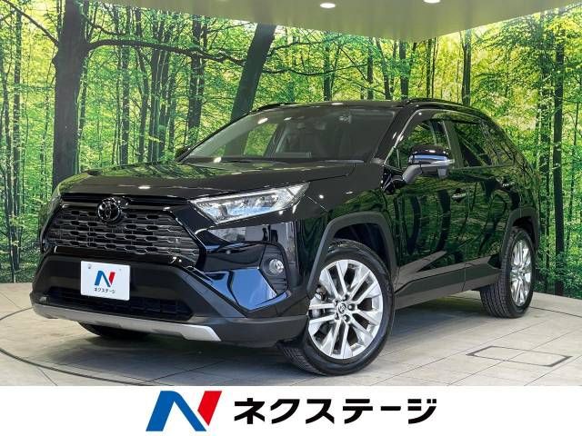 TOYOTA RAV4 4WD 2019