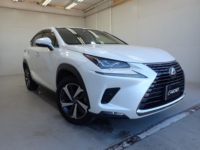 TOYOTA LEXUS NX300h 2018