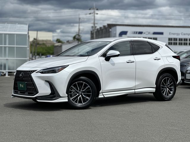 TOYOTA LEXUS NX250 2023