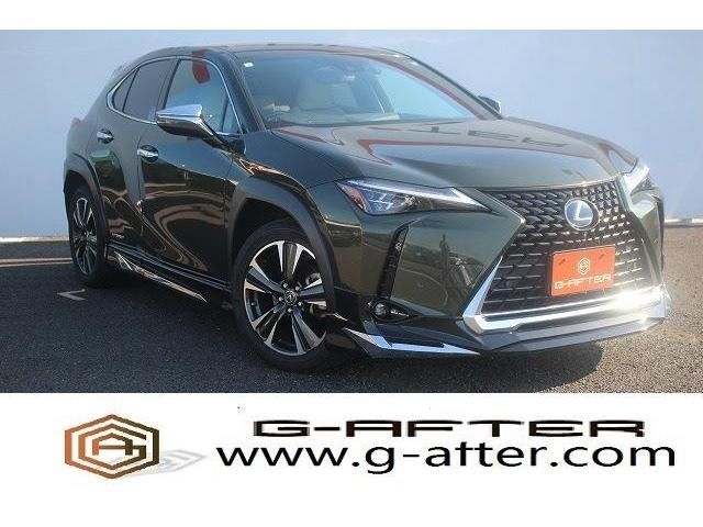 TOYOTA LEXUS UX250h 2019