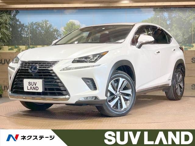 TOYOTA LEXUS NX300h 2019