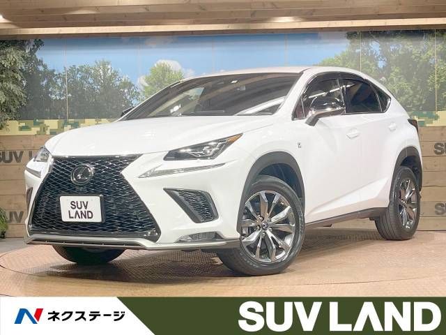 TOYOTA LEXUS NX300 2019