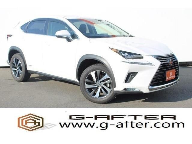 TOYOTA LEXUS NX300h 2017