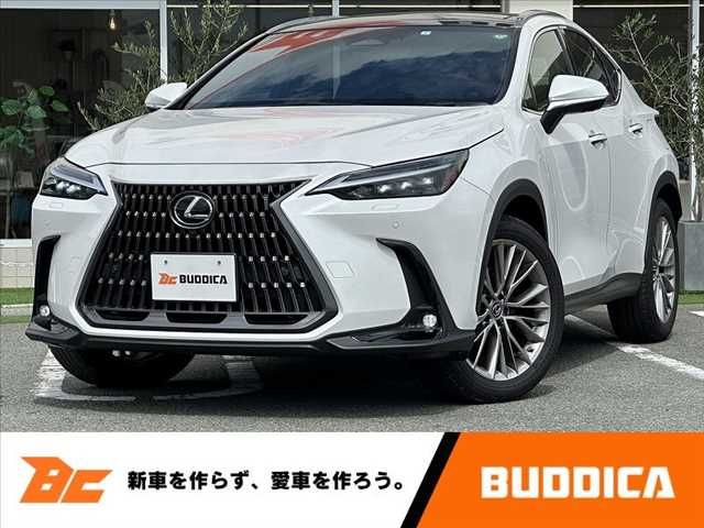 TOYOTA LEXUS NX250 2023