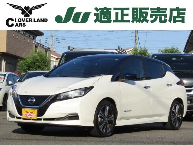 NISSAN LEAF 2019