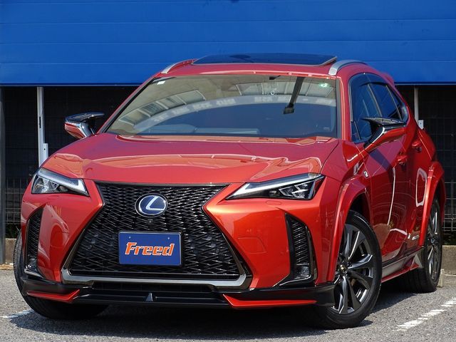 TOYOTA LEXUS UX250h AWD 2021