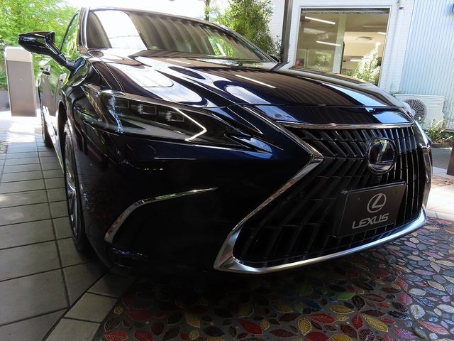 TOYOTA LEXUS ES300h 2022