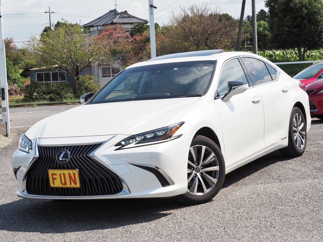 TOYOTA LEXUS ES300h 2019