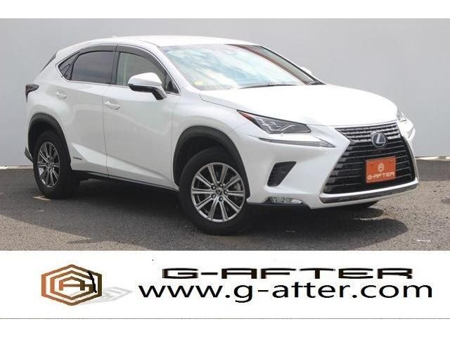 TOYOTA LEXUS NX300h 2019