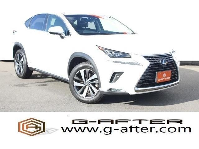 TOYOTA LEXUS NX300h 2018