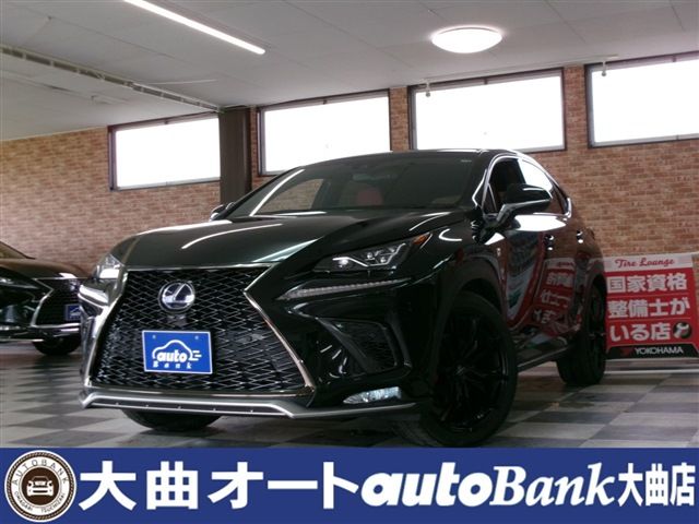 TOYOTA LEXUS NX300h AWD 2019