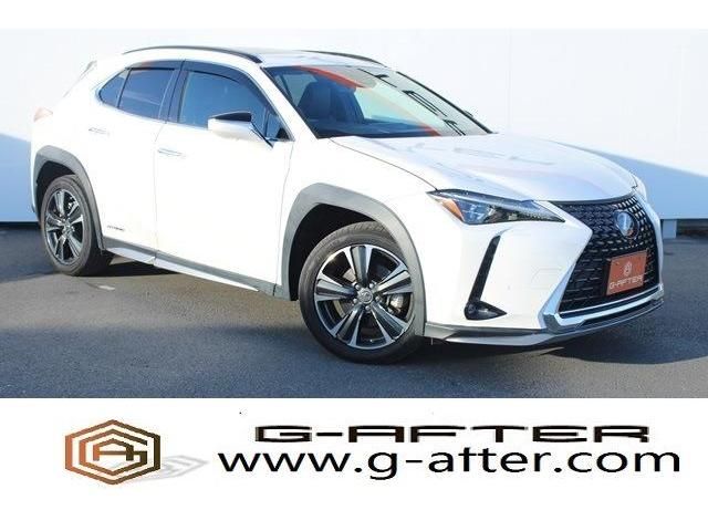 TOYOTA LEXUS UX250h 2019