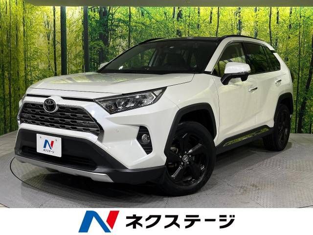 TOYOTA RAV4 4WD 2019