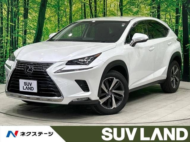 TOYOTA LEXUS NX300 2018