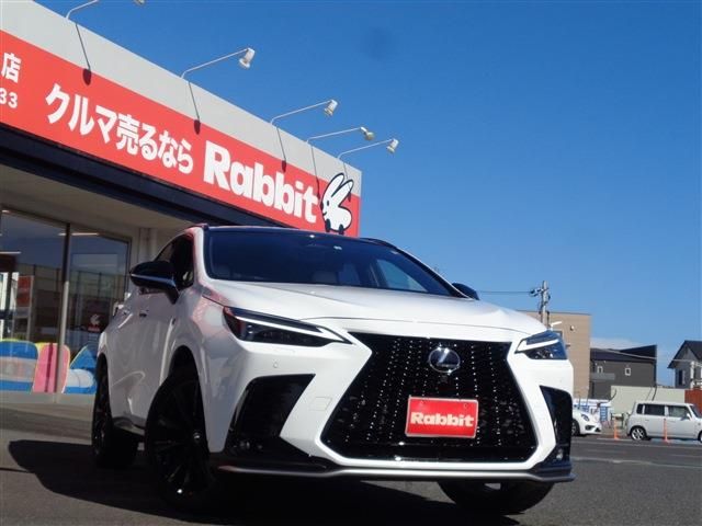 TOYOTA LEXUS NX350h 2022